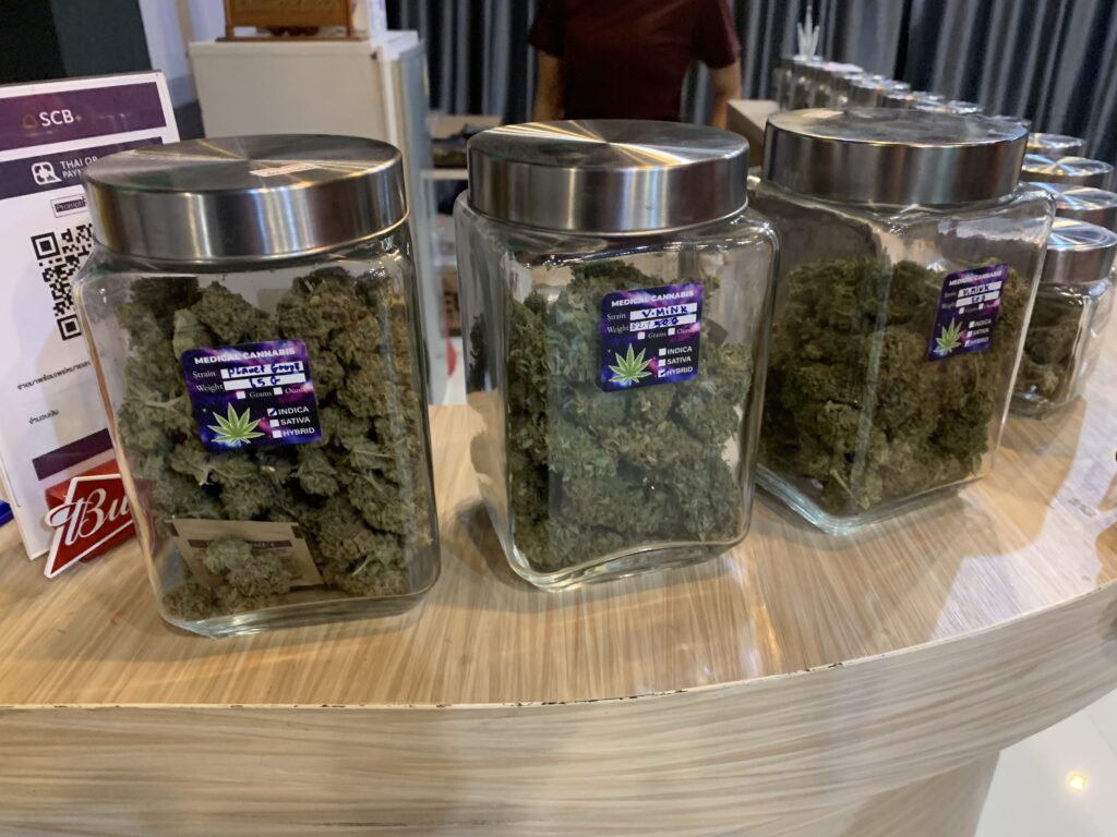 B-Garden Cannabis Shop - HighThailand