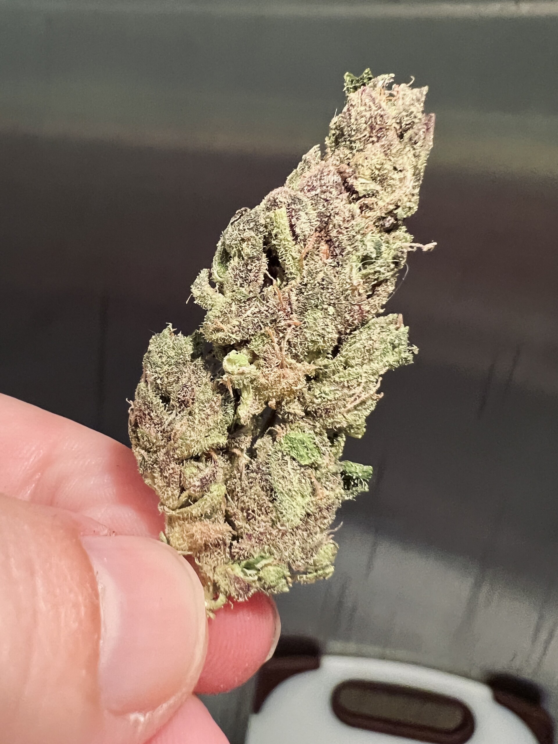 Full Gas - Strain Review - HighThailand